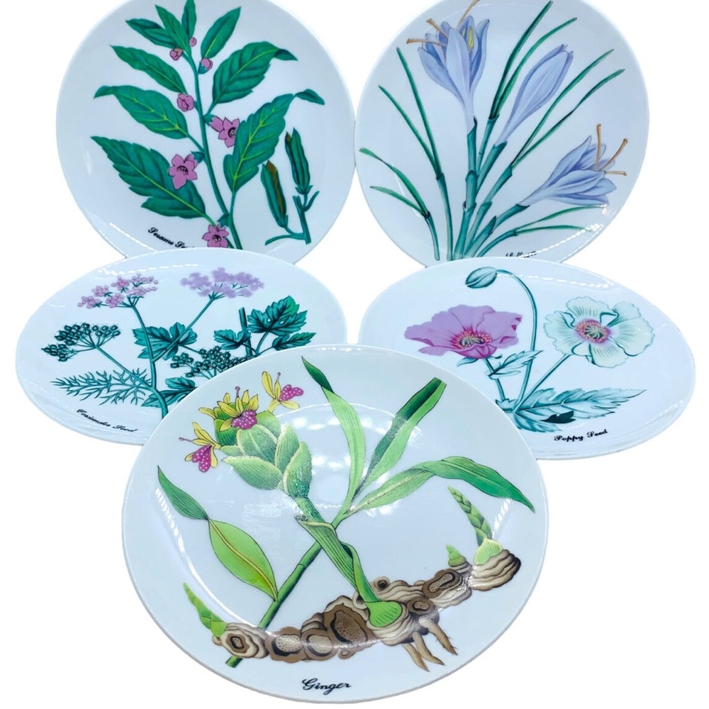 Botanical Herb Seed
by HORCHOW set of 6